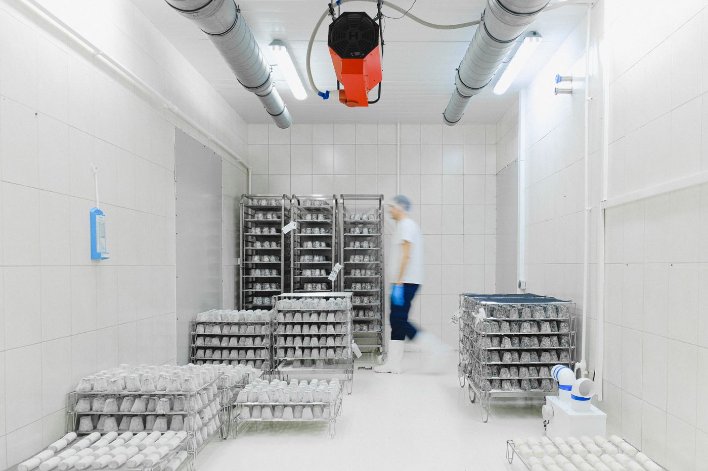 Cold storage warehouse interior, for reference