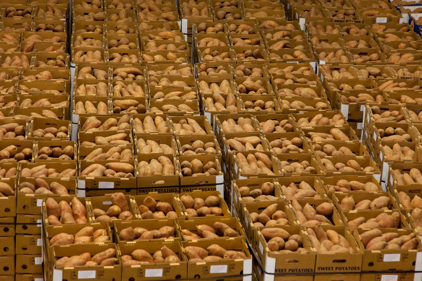 Produce packing and sorting, for reference