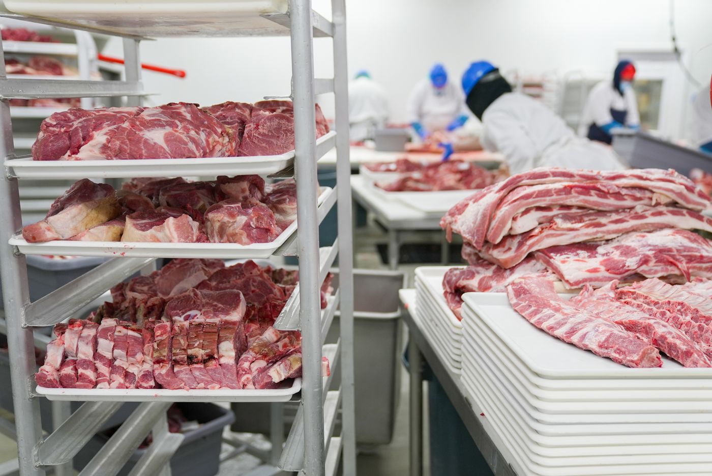 Raw meat cuts at a processing facility