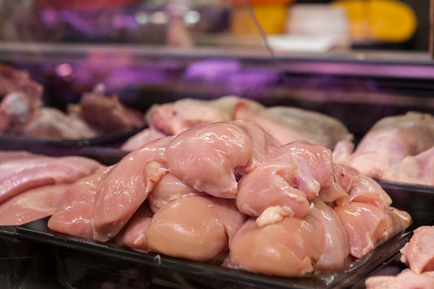 Raw chicken poultry cuts